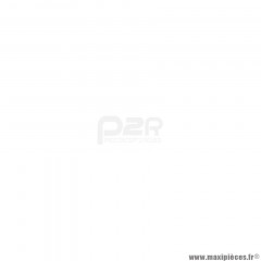 Kit chaine Afam 420 14x53 (Diamètre couronne 108/123/6.5) pour Mecaboite DERBI GPR NUDE 50cc