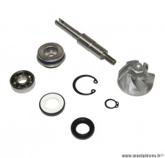 KIT REPARATION POMPE A EAU MAXISCOOTER POUR: HONDA 125 SH, 125 PANTHEON, 125 DYLAN (KIT) -BUZZETTI-