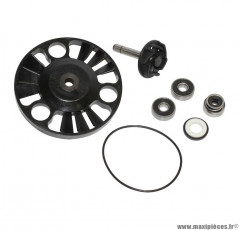 KIT REPARATION POMPE A EAU MAXISCOOTER POUR: PIAGGIO 125 X8,125 X9, 125 BEVERLY, 1VESPA GTS / GILERA 125 NEXUS, 125 RUNNER / APRILIA 125 ATLANTIC (ROULEMENTS DIAMETRE 22) (KIT) -BUZZETTI-