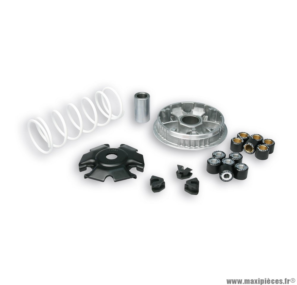 Variateur Malossi Multivar 2000 pour maxiscooter PIAGGIO FLY, VESPA 125cc, LIBERTY, VESPA 150cc