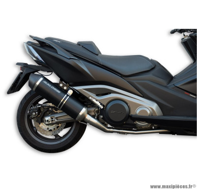 Pot d'échappement maxi wild lion homologué pièce Malossi pour Kymco Ak, 550cc