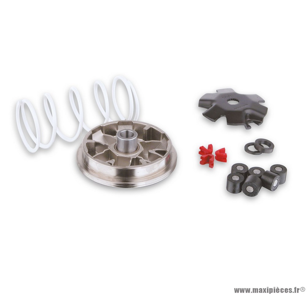 Variateur Malossi Multivar pour scooter E-TON VIPER RXL 50cc / LAVERDA QUASAR 50cc