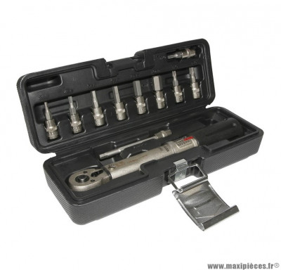 Malette de clés dynamometrique 2 à 24nm avec douilles allen 3 - 4 - 5 - 6 - 8 - 10mm et torx t20-t25-t30