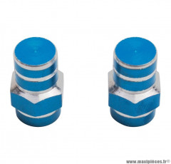 Bouchons de valve x2 Replay 6 pans bleu