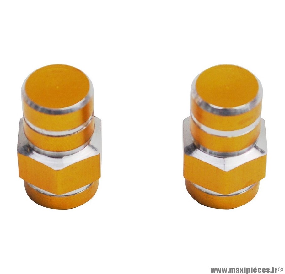 Bouchons de valve x2 Replay 6 pans or