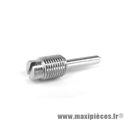 Vis de ralenti pour carburateur Dellorto et adaptable phbn/phva (BX)