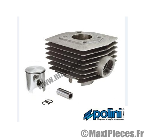 kit 50 polini pour 51
