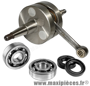 Vilebrequin renforcé roulement et joint spi pour derbi gpr 50 racing r nude senda drd sm x-treme...(moteur ebs050)