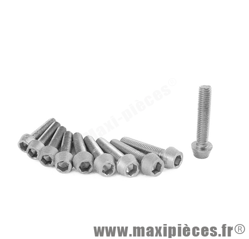 SACHET 10 VIS T6 ALU M5X25 SILVER