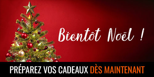 Sauvez vos cadeaux de Noël avec la livraison rapide en 24h !