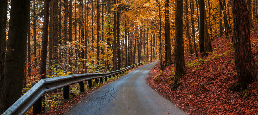 Route dangereuse d'automne