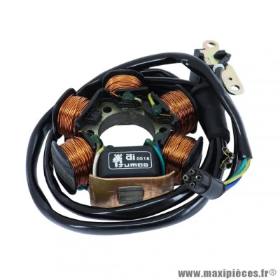 Stator 6 Pôles Faisceau Long Adaptable pour Piaggio 50 Zip, NRG, Typhoon, Gilera 50 Runner