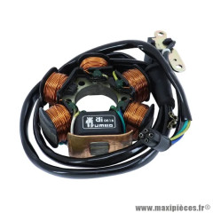 Stator 6 Pôles Faisceau Long Adaptable pour Piaggio 50 Zip, NRG, Typhoon, Gilera 50 Runner