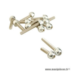 Vis carter CHC conique acier chrome Kit de 12 pour MBK 50 Booster / Yamaha 50 BWS