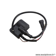 Bobine d'allumage BETA 50 RR 2005-2012