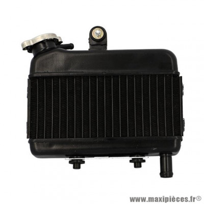 Radiateur complet Cyclo adaptable Peugeot 103 RCX/SPX LC liquide + bouchon
