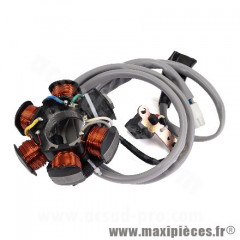 Stator d'allumage 294971 (OEM) pour Piaggio Liberty 125-150 1998-2005, Vespa ET4 1998-2005, Hexagon LX4 jusqu'à 1997, Aprilia Mojito 1999-2001