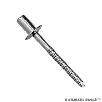 Rivet 3 mm longueur 6 mm