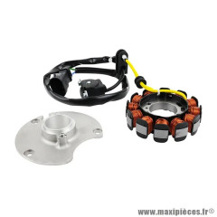 Stator 12 pôles pour Aprilia 50 RX 2018-2020, Gilera 50 SMT 2018-2020, Derbi 50 Senda X-Treme 2018-2020