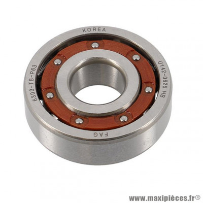 Roulement vilo Mecaboite 6303 cage Celeron pour AM6