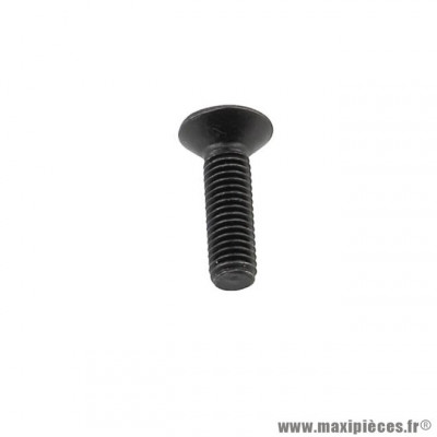 Vis M5x18mm Noir pour Pignon Poulie Doppler (dimensions M5x18mm)