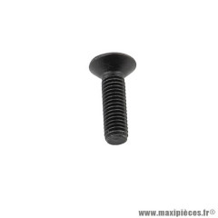 Vis M5x18mm Noir pour Pignon Poulie Doppler (dimensions M5x18mm)