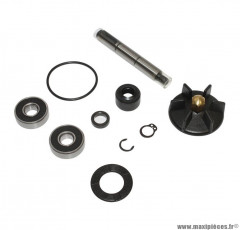 Kit réparation pompe à eau Buzzetti pour scooter piaggio nrg / gilera runner, dna