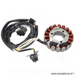 Stator Allumage 18 Pôles pour Yamaha T-Max 530 cc, T-Max 560 cc