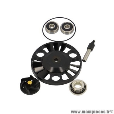 Mécanisme Pompe à Eau Top Perf pour Maxiscooter Aprilia, Derbi, Gilera, Piaggio