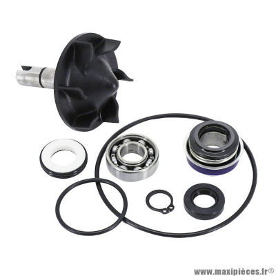 Kit Réparation Pompe à Eau Buzzetti pour Yamaha T-Max 500 cc, Yamaha T-Max 530 cc