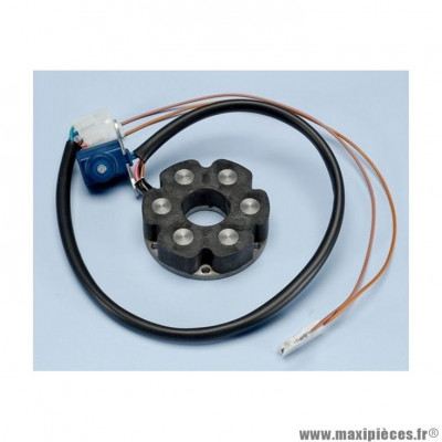 Stator d'allumage Polini pour Minarelli AM6 / Derbi - X-Limit, XP6, XR6, RS, RX, TZR, RR (171.0623) * Déstockage !
