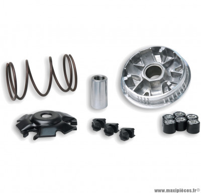 Variateur multivar 2000 Malossi pour Peugeot elyseo 125/150cc