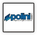 Pistons/segments Polini