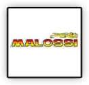 Pistons/segments Malossi