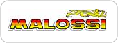 Logo Malossi