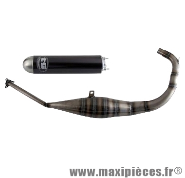 pot d'echappement tecnigas rsg pour aprilia rs 50 1999 yamaha x power mbk tzr 50 rieju rs1 evolution ...