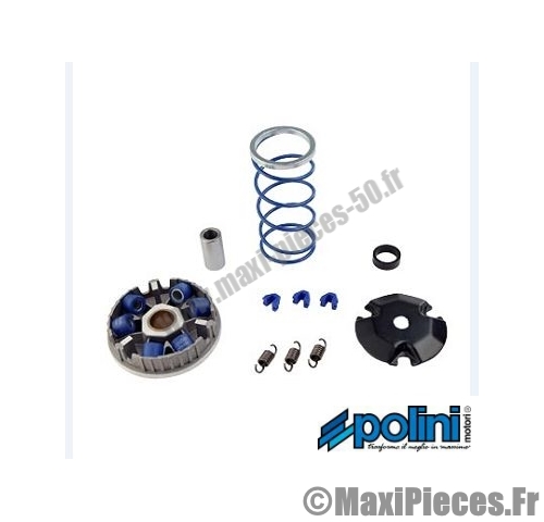 Vario polini pour nitro.