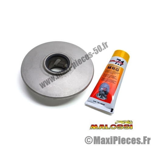 Correcteur malossi booster.